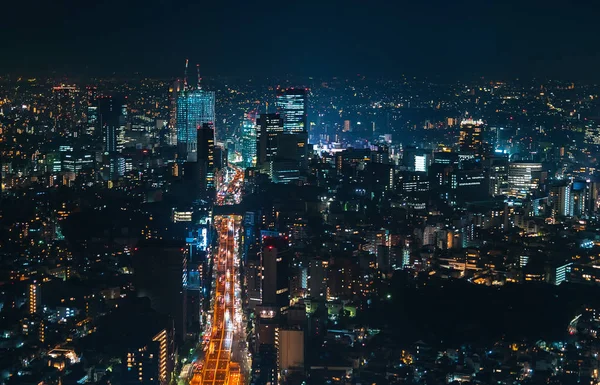 日本东京的空中景观 — 图库照片