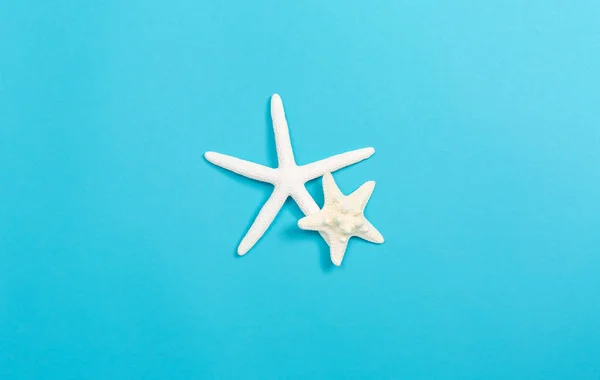 Una estrella de mar sobre un fondo azul —  Fotos de Stock