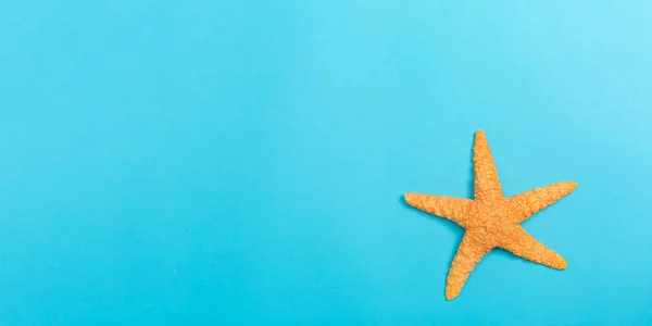 Una estrella de mar sobre un fondo azul —  Fotos de Stock