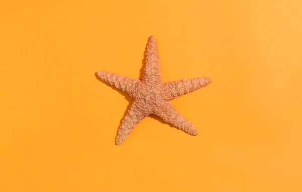 Una estrella de mar sobre papel naranja — Foto de Stock