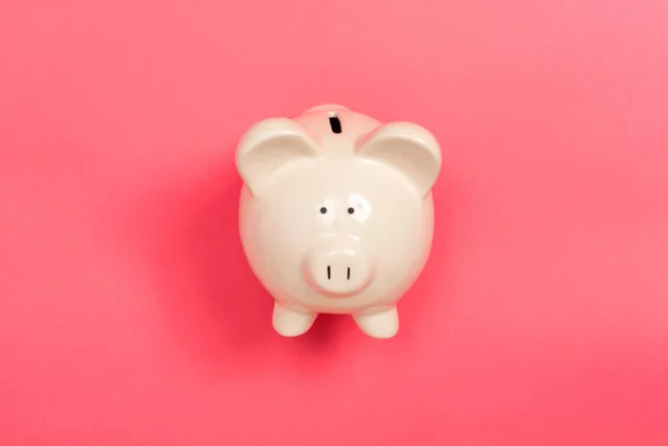白猪存钱罐 — 图库照片