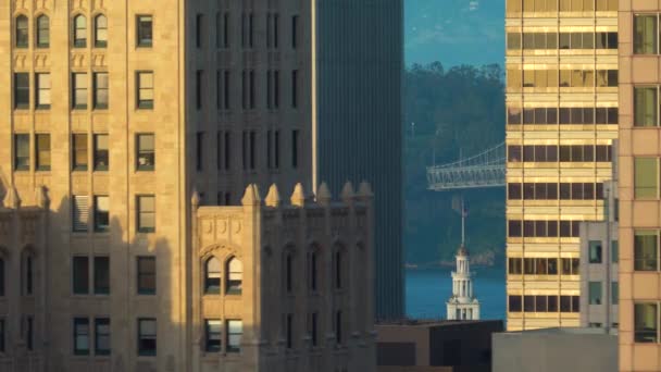 O horizonte de São Francisco com arranha-céus — Vídeo de Stock