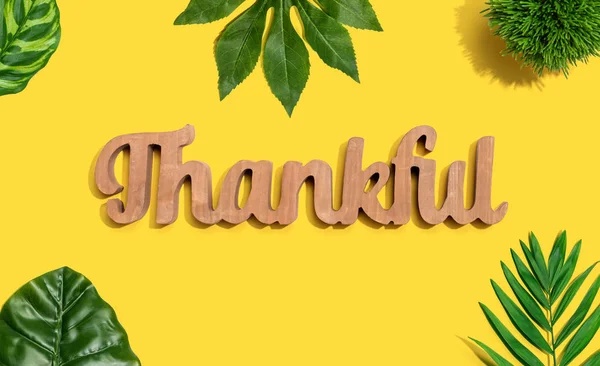 Thankful wooden text with tropical leaves — Stock Photo, Image