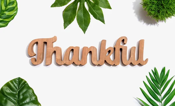 Thankful wooden text with tropical leaves — Stock Photo, Image