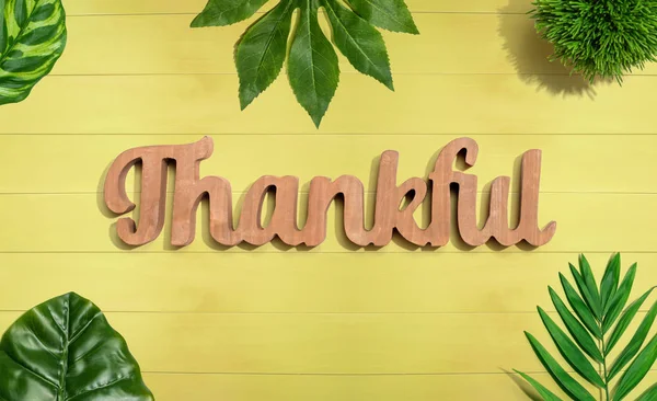 Dankbarer Holztext mit tropischen Blättern — Stockfoto