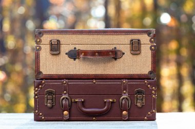 Bavul sonbahar orman arka plan üzerinde