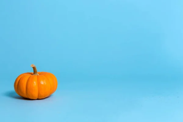Uma abóbora de outono — Fotografia de Stock