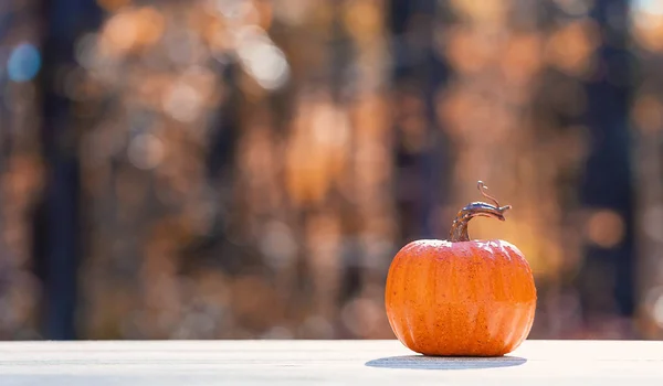 Small pumpkin outside in autumn — Stock Photo, Image