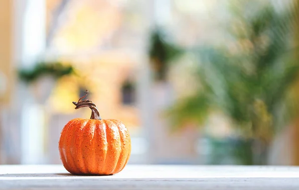 Pequeña calabaza sobre un fondo brillante —  Fotos de Stock