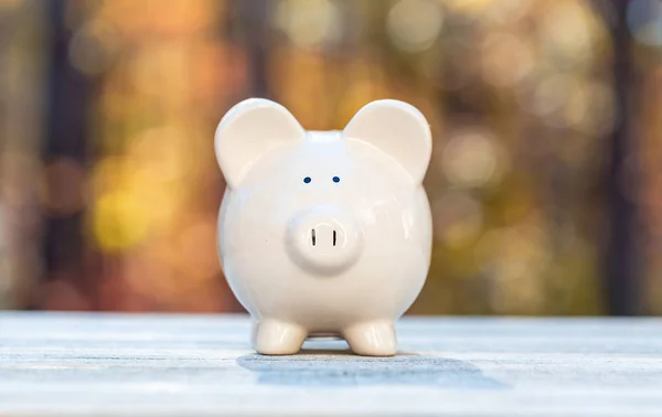 Piggy bank op een herfst bos achtergrond — Stockfoto