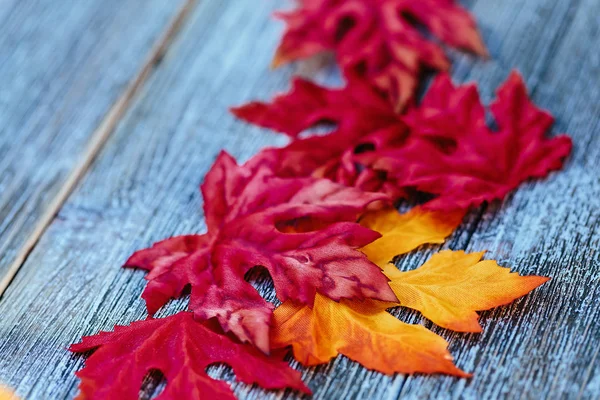 Czerwony i pomarańczowy liści jesienią — Zdjęcie stockowe