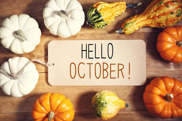 Olá mensagem de outubro com coleção de abóboras — Fotografia de Stock