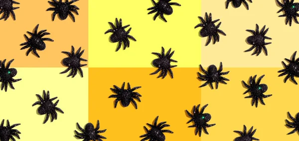 Чёрные пауки Хэллоуина — стоковое фото