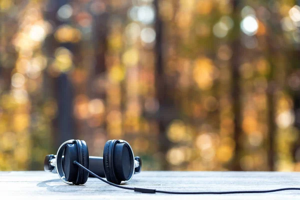 Sluchátka na pozadí lesa na podzim — Stock fotografie