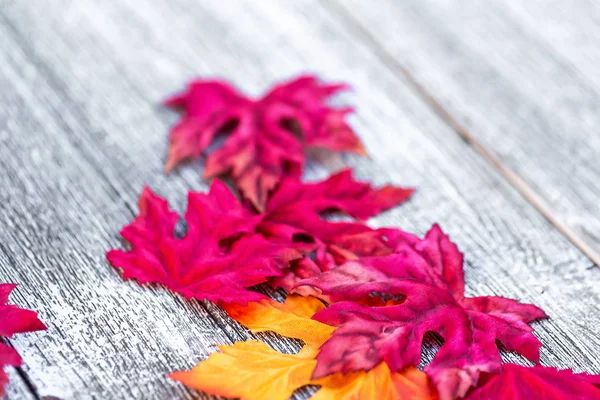 红色和橙色的秋叶 — 图库照片