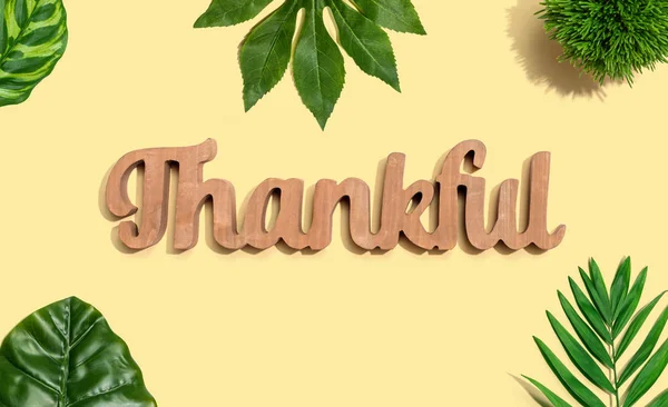 Thankful wooden text with tropical leaves — Stock Photo, Image