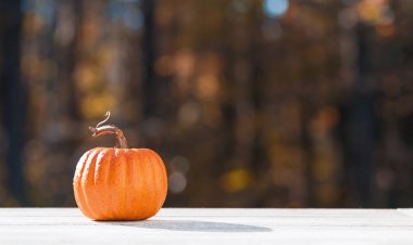 Sonbaharda küçük kabak dışında