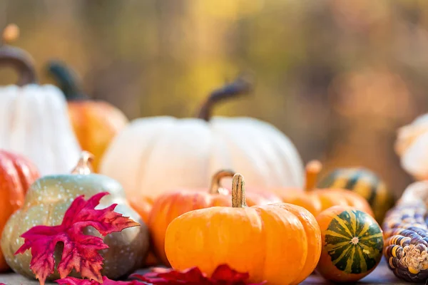 Verscheidenheid van pompoenen buiten in de herfst — Stockfoto