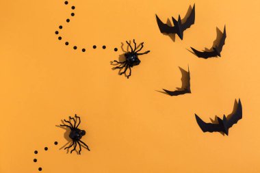 Cadılar Bayramı yarasalar ve örümcekler