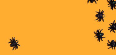 Cadılar Bayramı siyah örümcekleri