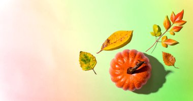 Yukarıdan sonbahar balkabağı