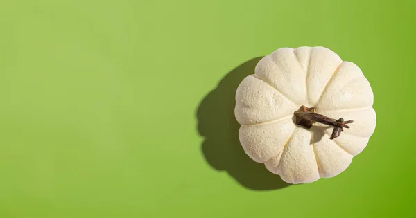 Autumn pumpkin from above — Stock Photo, Image