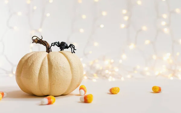 Calabaza de Halloween con araña —  Fotos de Stock