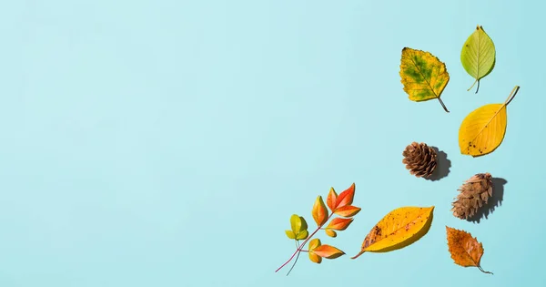 Folhas de outono de cima — Fotografia de Stock