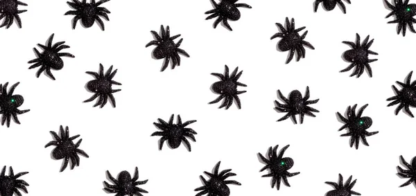万圣节黑色蜘蛛 — 图库照片