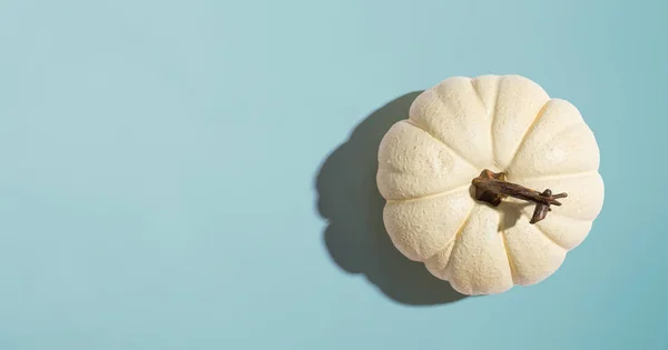 Autumn pumpkin from above — Stock Photo, Image