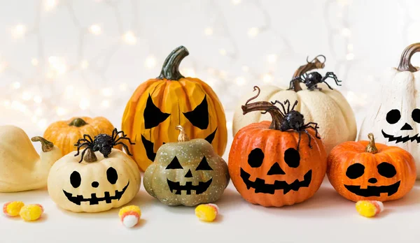 Halloween pumpkins with spider — Stock Photo, Image