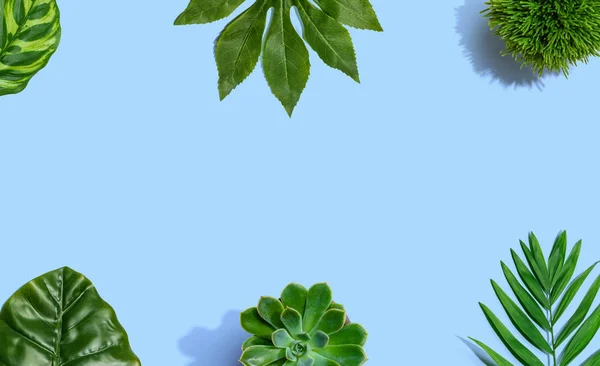 Тропические зеленые листья сверху — стоковое фото