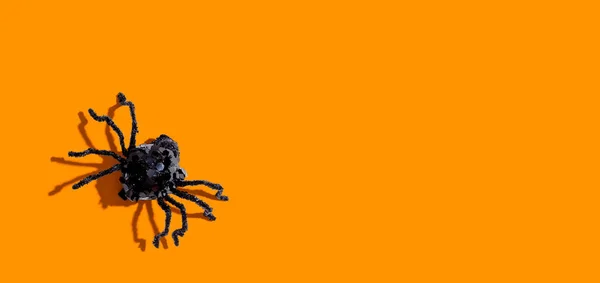 Halloween svart spindel — Stockfoto
