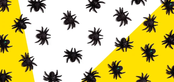 Halloween czarne pająki — Zdjęcie stockowe