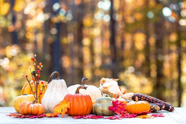 Množství dýně venku na podzim — Stock fotografie