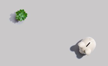 Beyaz domuz kumbarası manzarası