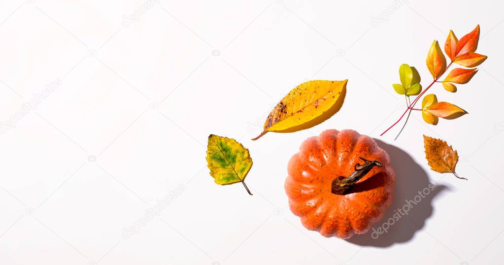 Autumn pumpkin from above