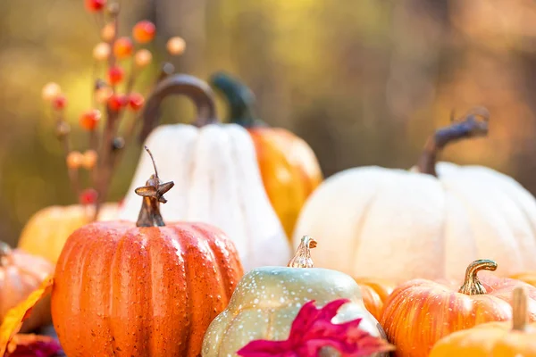 Verscheidenheid van pompoenen buiten in de herfst — Stockfoto