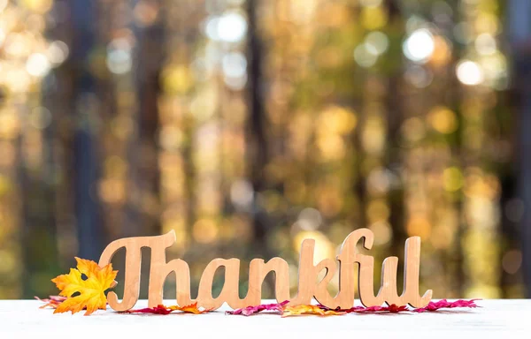 Messaggio di ringraziamento tema del Ringraziamento — Foto Stock