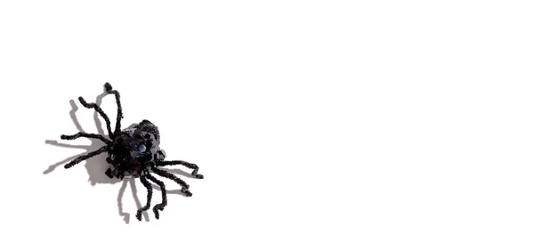 Halloween černý pavouk — Stock fotografie