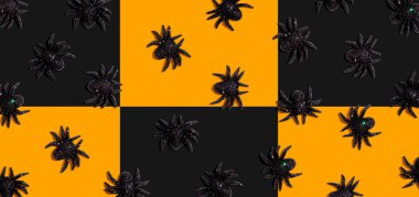 Cadılar Bayramı siyah örümcekleri