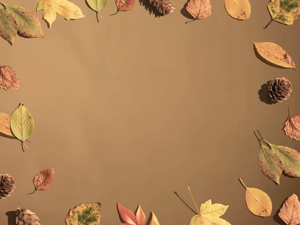 Autumn leaf border frame — Stock Photo, Image