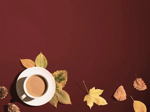 Осенняя тема с чашкой кофе — стоковое фото