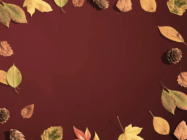 Jesienna ramka obramowania liści — Zdjęcie stockowe