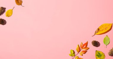 Yukarıdan sonbahar yaprakları