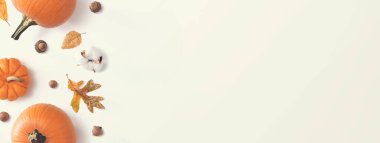 Yapraklı ve pamuklu balkabakları