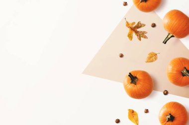 Yapraklı sonbahar balkabakları