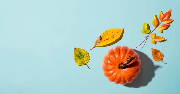 Abóbora de outono de cima — Fotografia de Stock