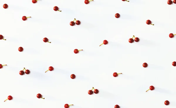 Sammlung kleiner roter Beeren — Stockfoto