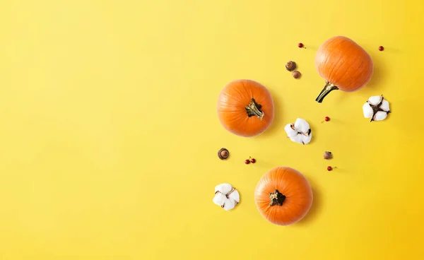 秋天的主题与橙色南瓜 — 图库照片